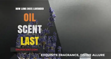 How Long Does Lavender Oil Scent Last? A Comprehensive Guide