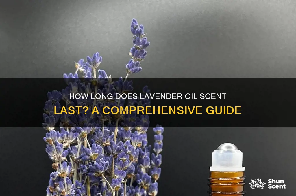 how long does lavender oil scent last