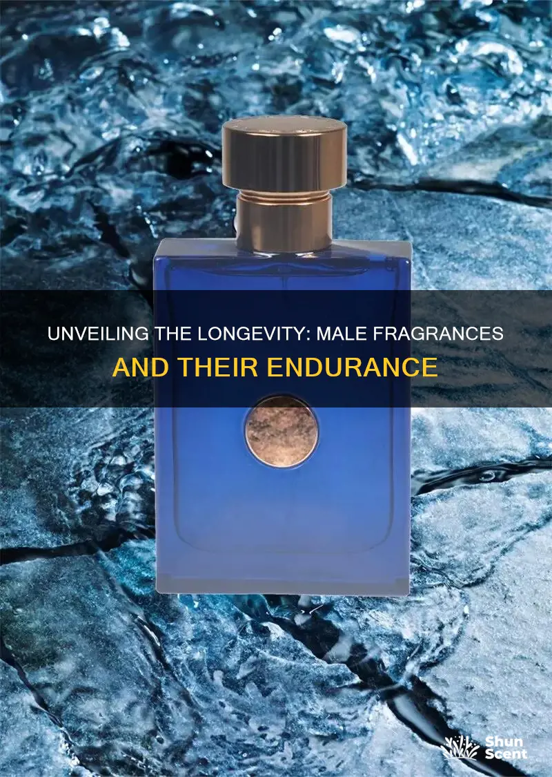 how long does male fragrances last