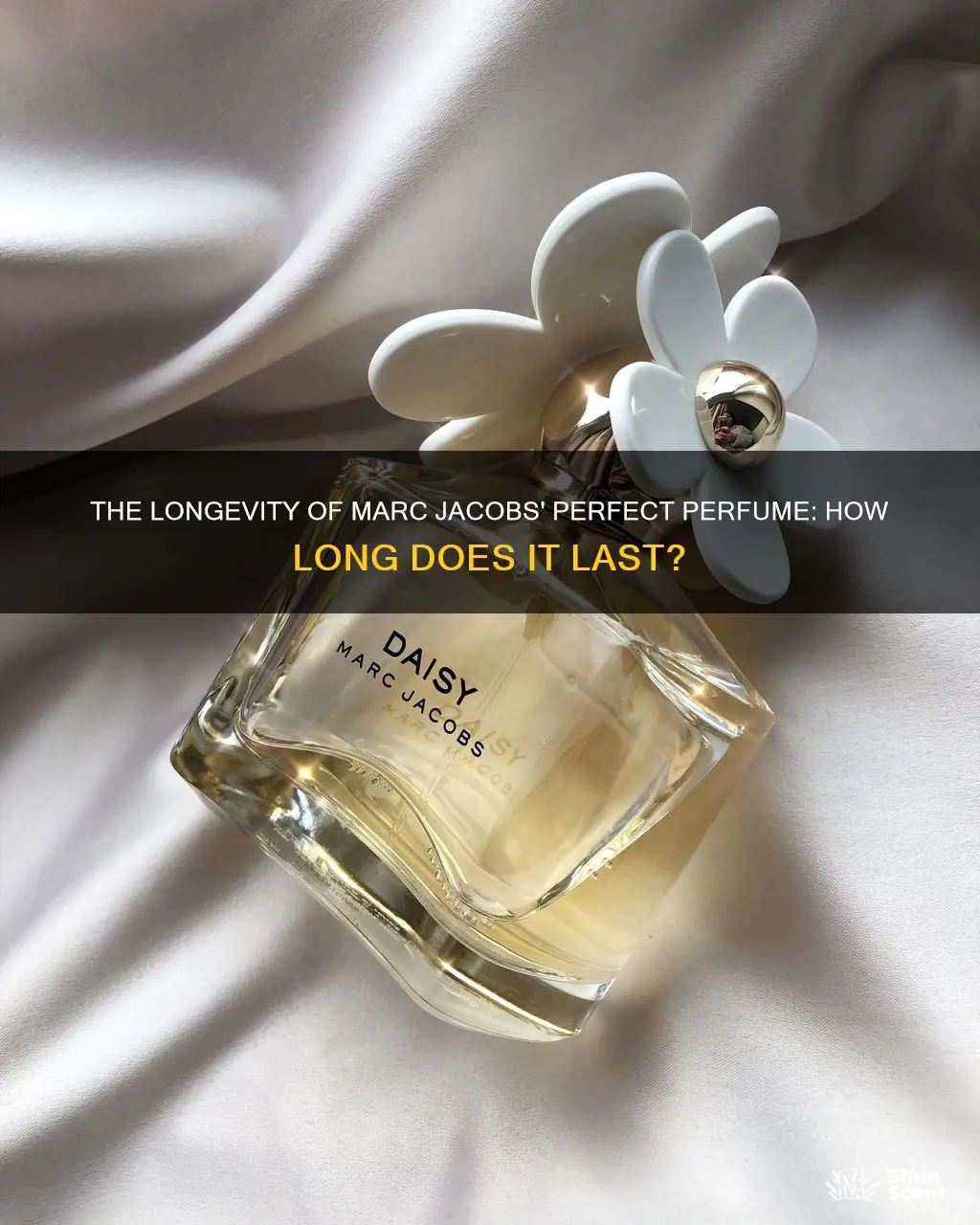how long does marc jacobs perfect perfume last