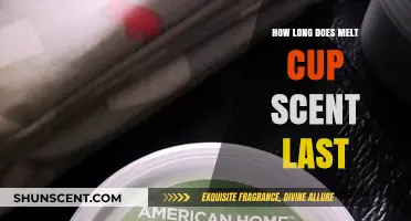 How Long Does Melt Cup Scent Last? A Comprehensive Guide