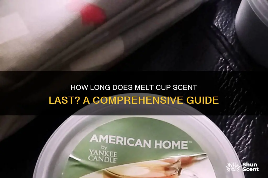 how long does melt cup scent last