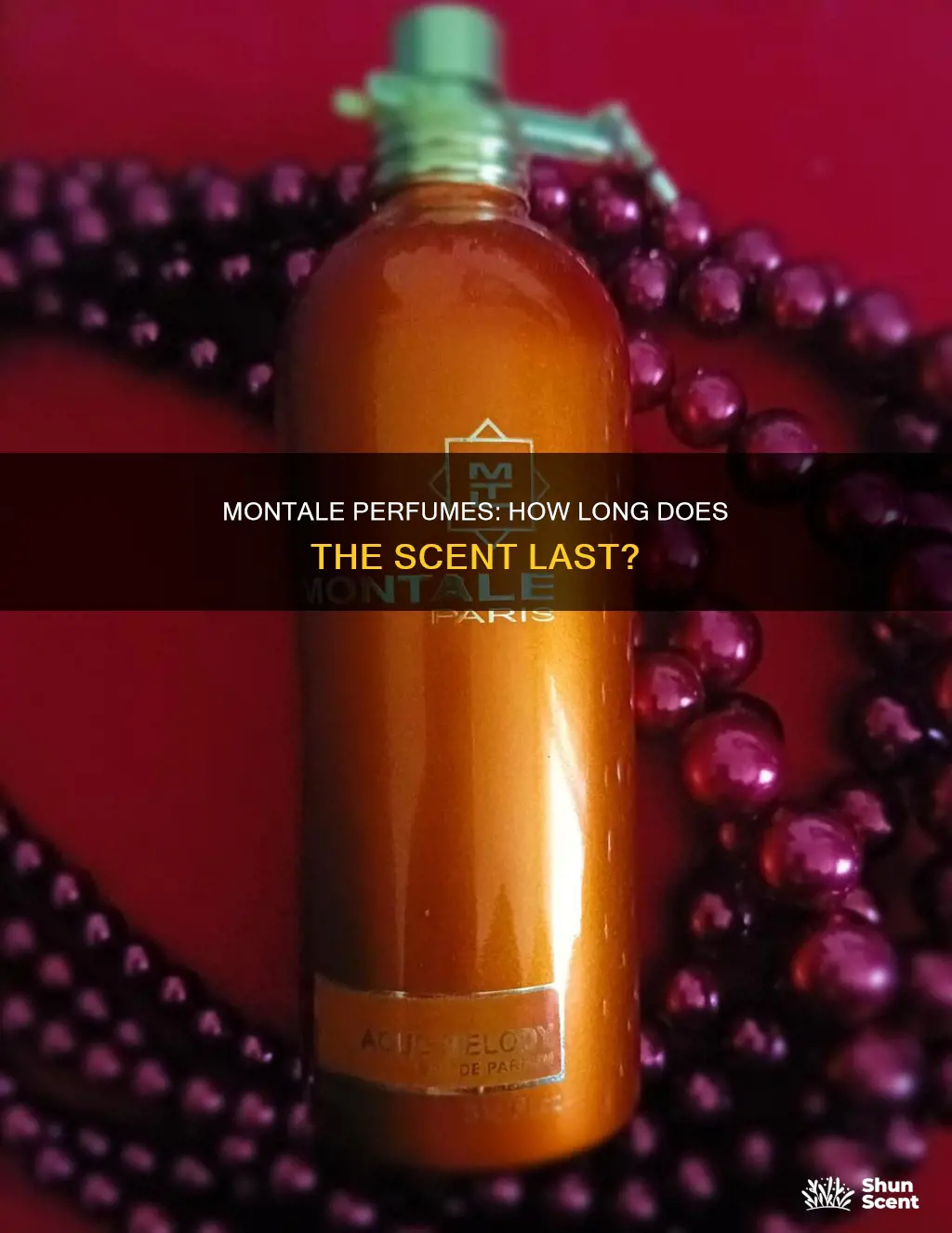 how long does montale perfume last