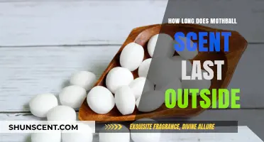 How Long Does Mothball Scent Linger Outdoors: A Comprehensive Guide