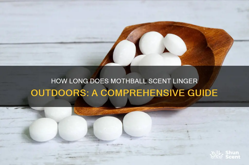 how long does mothball scent last outside