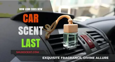 How Long Does That Fresh New Car Scent Typically Last?