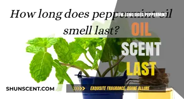 Peppermint Oil Scent Duration: How Long Does the Freshness Last?
