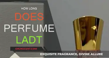 Perfume Longevity: How Long Does the Fragrance Last?