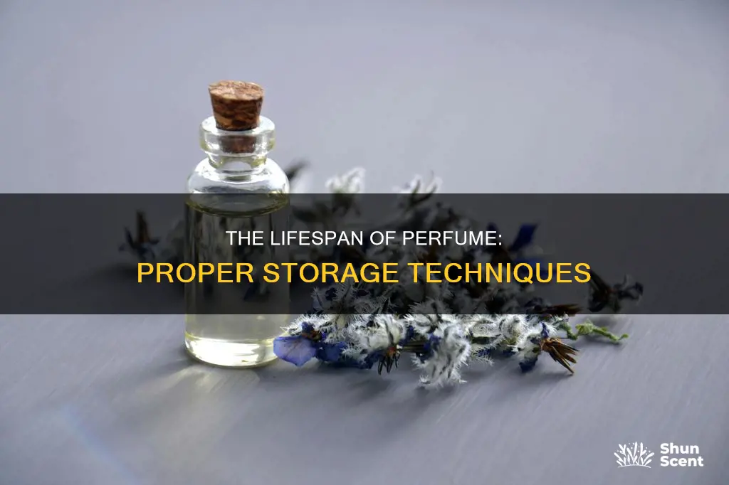 how long does perfume last if stored correctly