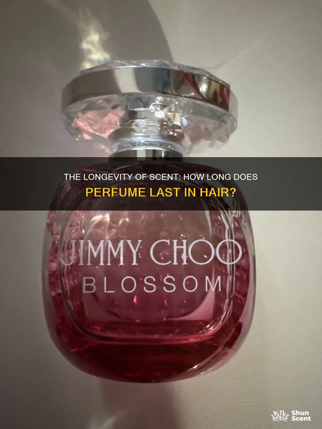 how long does perfume last in hair