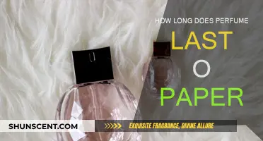 Perfume Lifespan on Paper: How Long Does It Last?