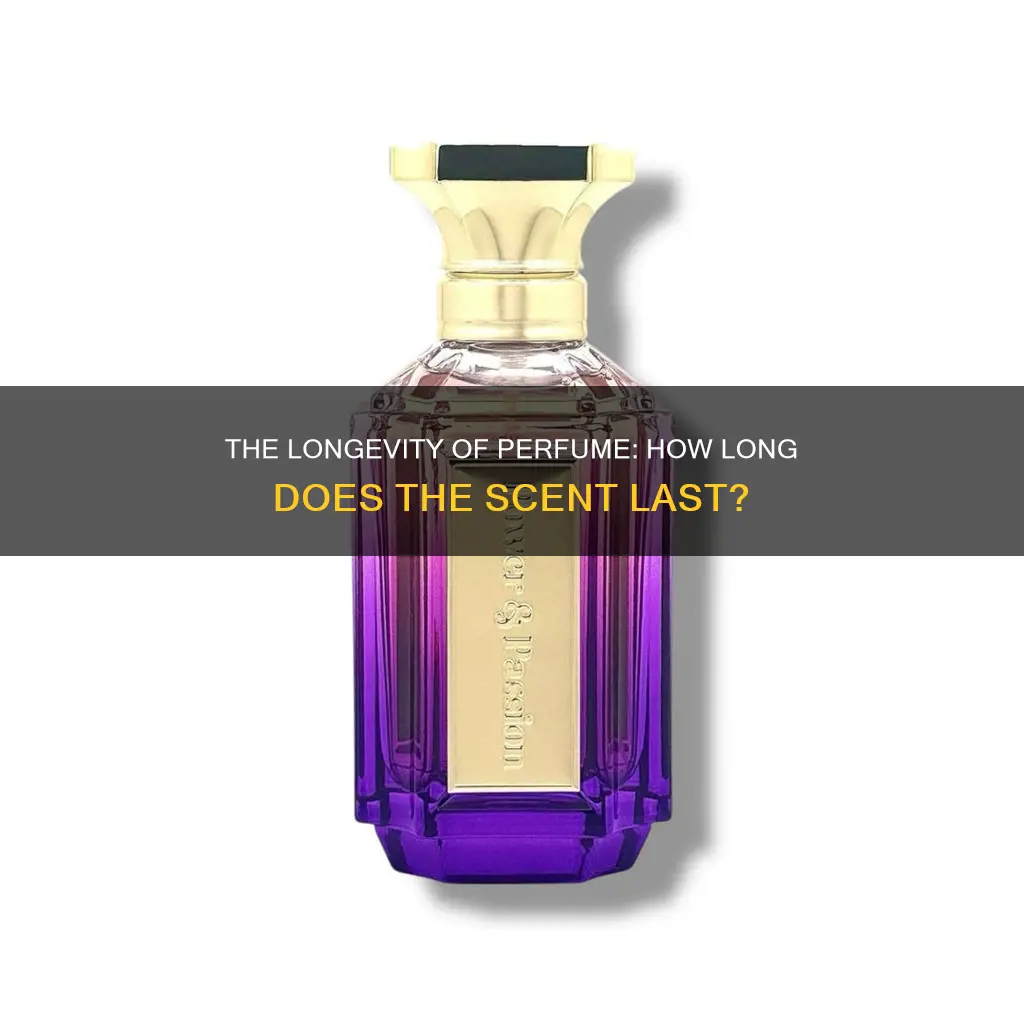 how long does perfume last on the skin scentbound