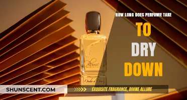 Perfume Dry Down: How Long Does It Take?