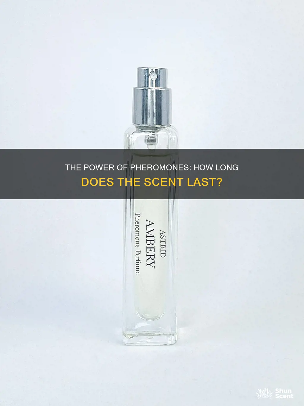 how long does pheromone perfume last