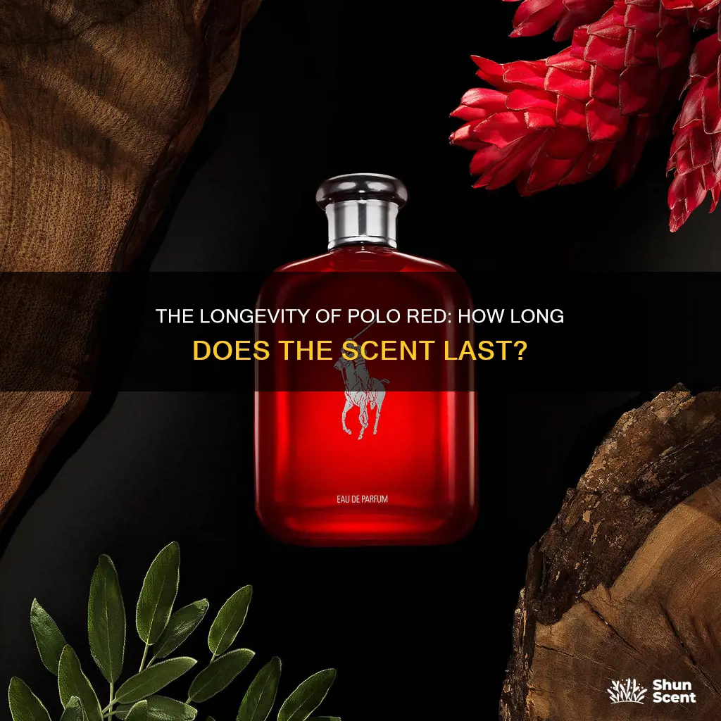 how long does polo red cologne last