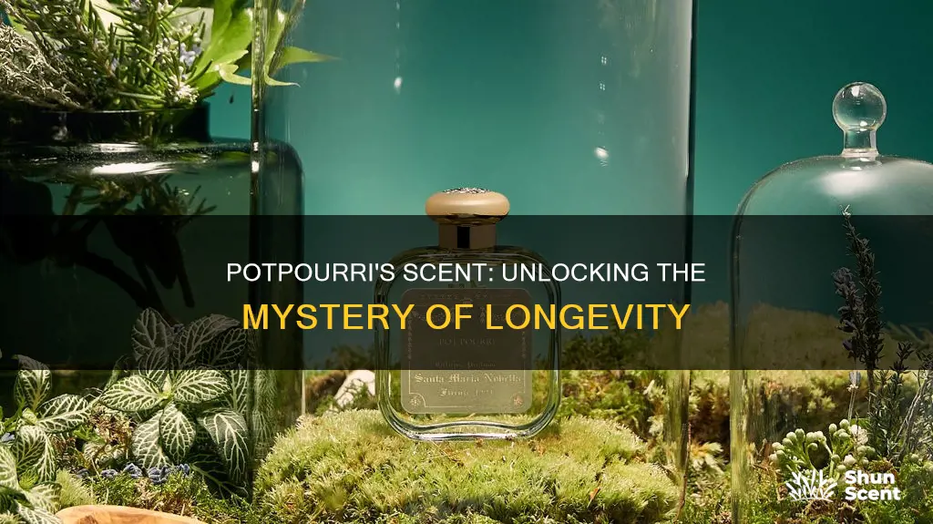 how long does potpourri fragrance last