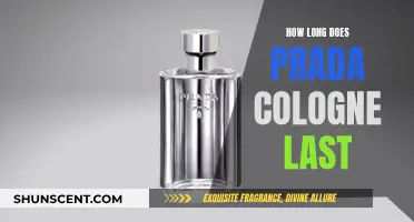 Prada Cologne: How Long Does the Fragrance Last?