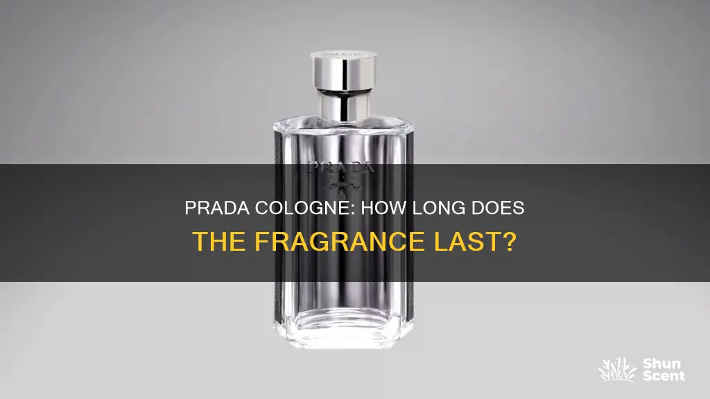 how long does prada cologne last