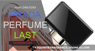 Prada Perfume: How Long Does the Scent Last?