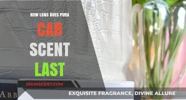 How Long Does Pura Car Scent Last? A Detailed Guide