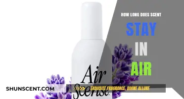 How Long Do Scents Linger in the Air? A Comprehensive Guide