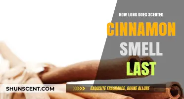 How Long Does Scented Cinnamon Smell Last? A Guide