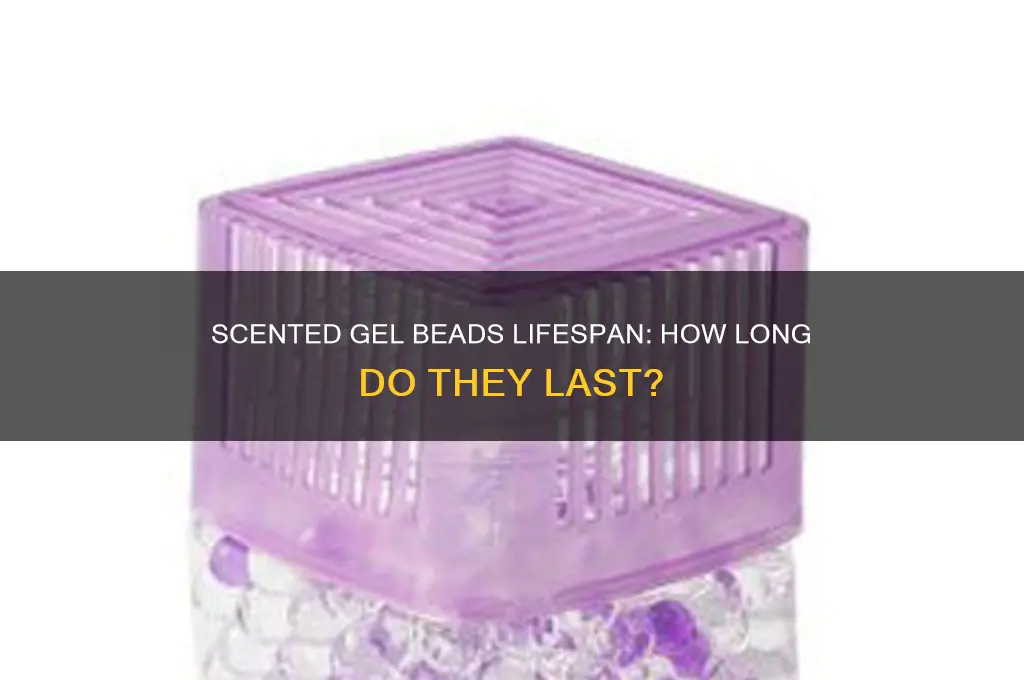 how long does scented gel beads last