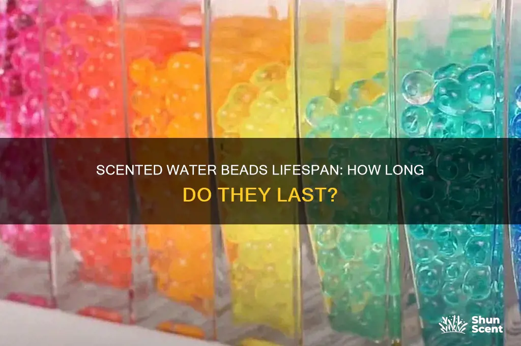 how long does scented water beads last