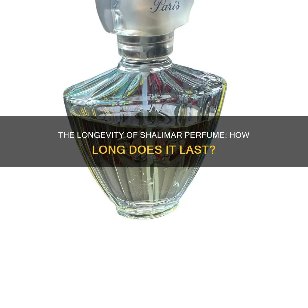 how long does shalimar perfume last