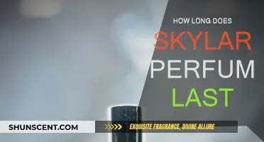 The Longevity of Skylar Perfumes: How Long Do They Last?