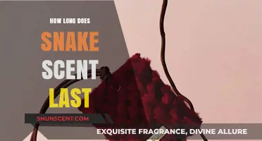 How Long Does Snake Scent Last? A Comprehensive Guide