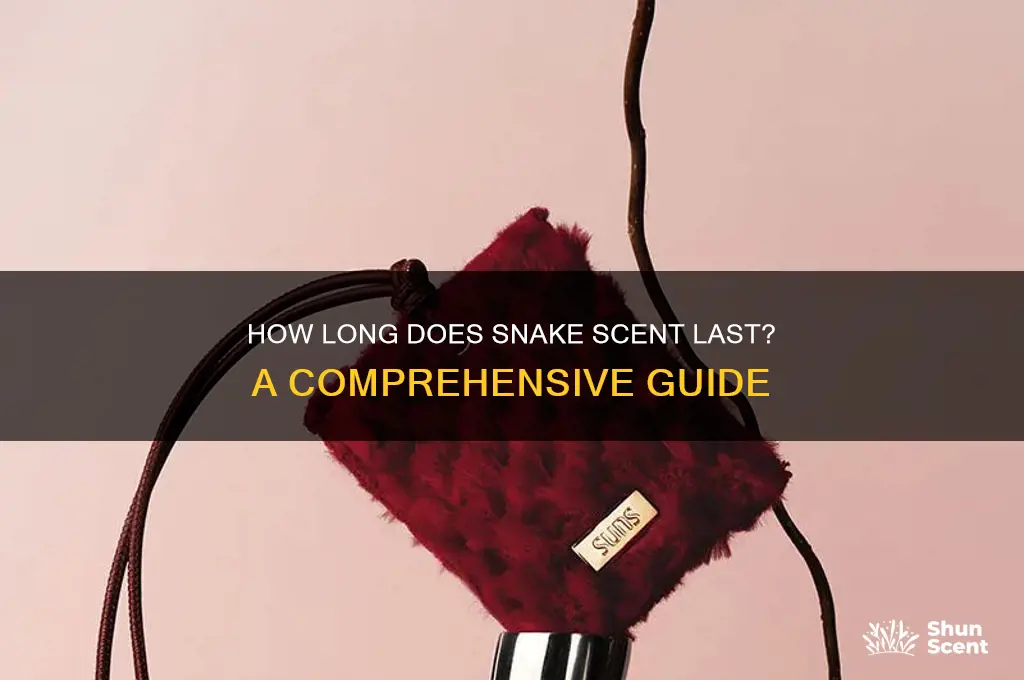 how long does snake scent last
