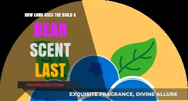 How Long Does Build-A-Bear Scent Last? A Complete Guide