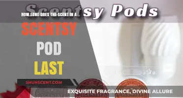 Scentsy Pods Scent Longevity: How Long Does the Fragrance Last?