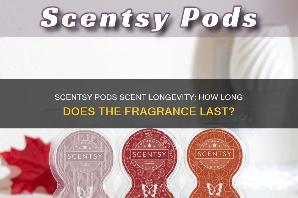 how long does the scent in a scentsy pod last