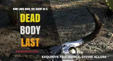 How Long Does the Scent of a Dead Body Linger?