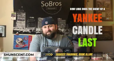 Yankee Candle Scent Longevity: How Long Does the Fragrance Last?