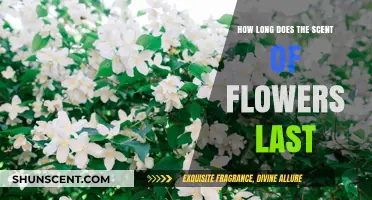 How Long Do Floral Fragrances Last? Unveiling the Lifespan of Flower Scents