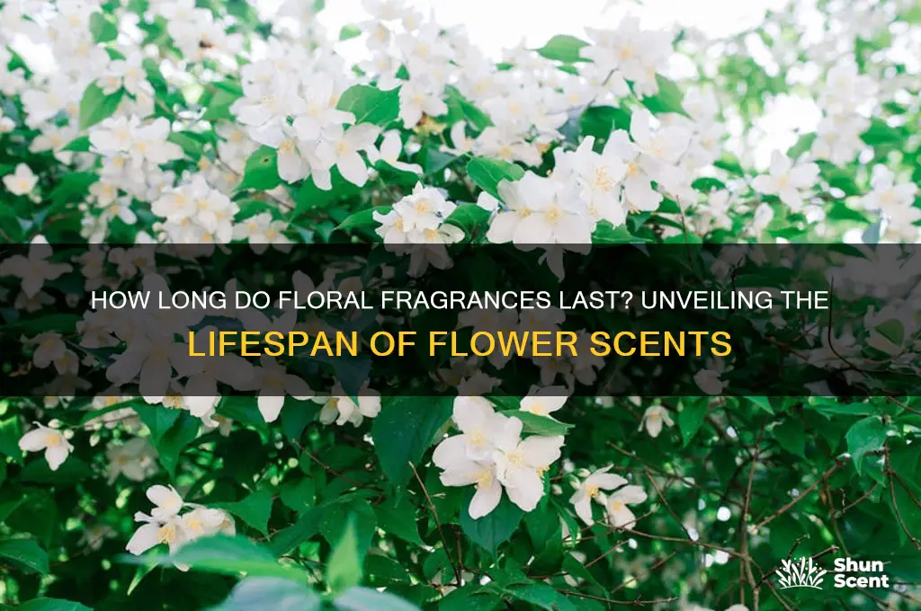 how long does the scent of flowers last