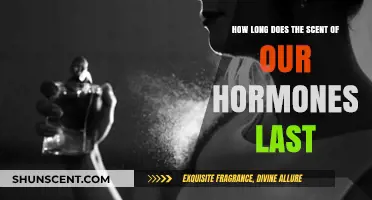 Hormonal Scents: Unveiling the Lasting Power of Our Body's Aromas