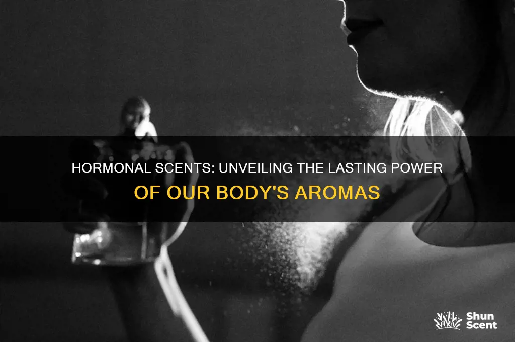how long does the scent of our hormones last