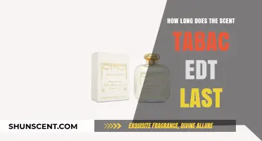 Scent Tabac EDT Longevity: How Long Does the Fragrance Last?