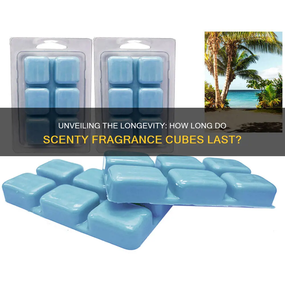 how long dose each sentsy fragrance cube last