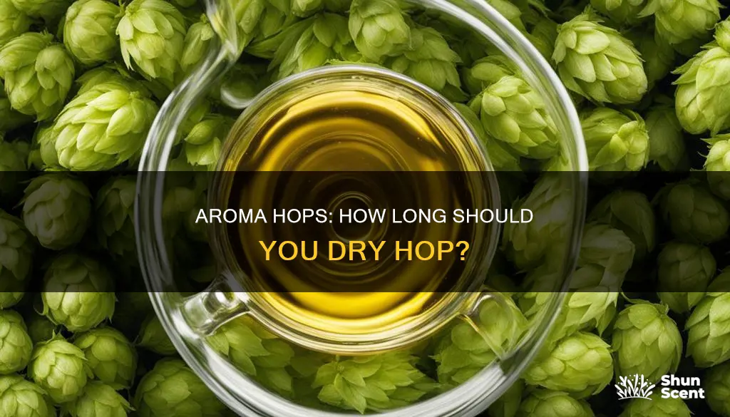 how long for aroma hops