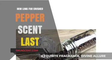 How Long Does Crushed Pepper Scent Last? A Spicy Guide