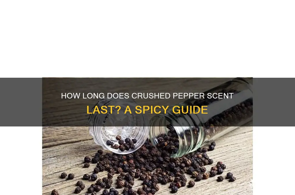 how long for crushed pepper scent last