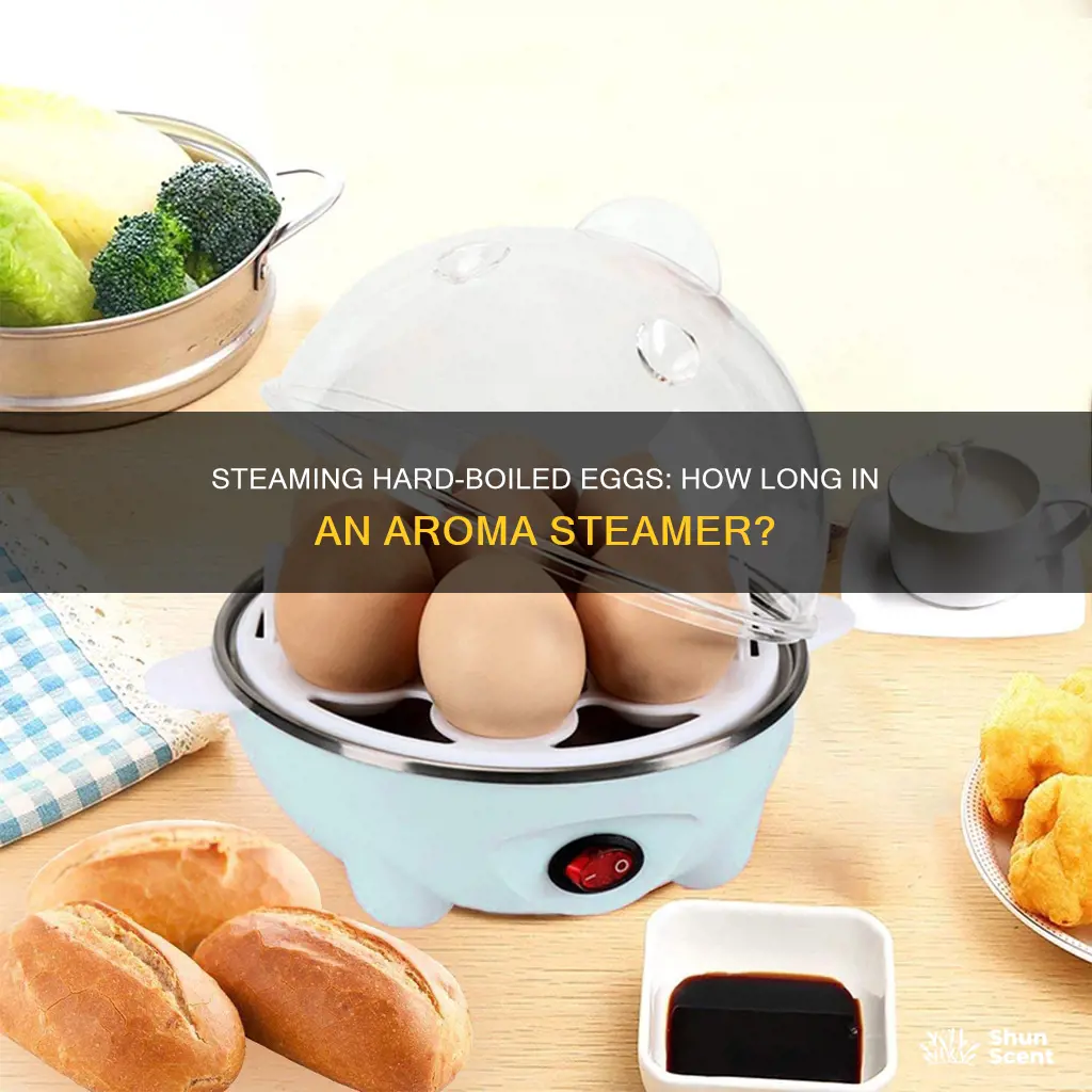 how long hard boild eggs aroma steamer