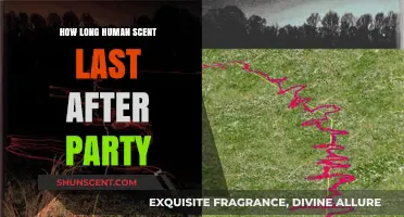 How Long Does Human Scent Linger After a Party?