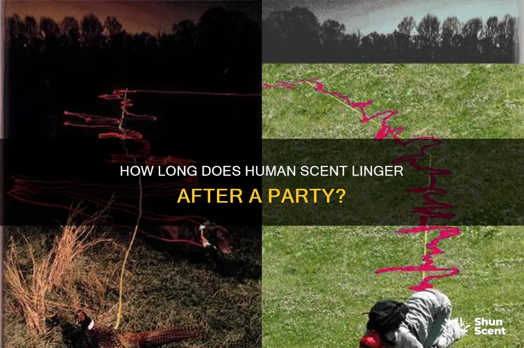 how long human scent last after party