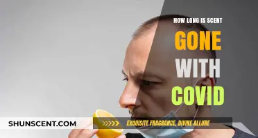 COVID-19's Impact: How Long Does Loss of Smell Last?